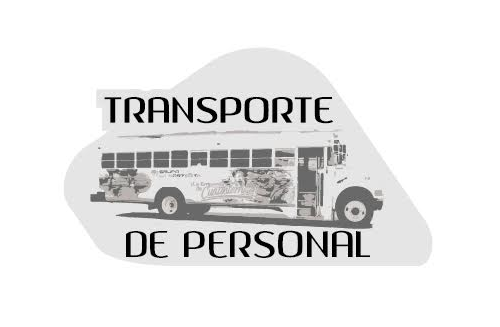 Transport