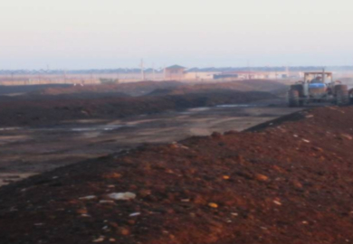 Biofertilizantes s&oacute;lidos